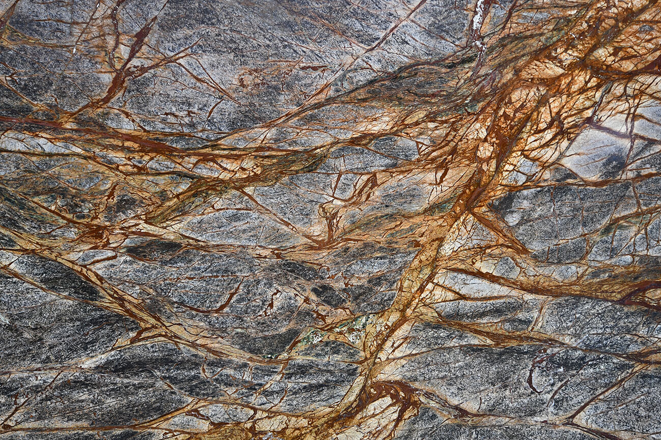 Fan Brown Nahaufnahme